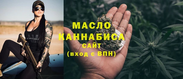 МДПВ Бородино