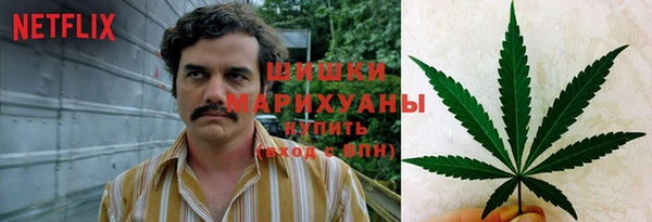 МДПВ Бородино