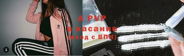 крисы Богородицк