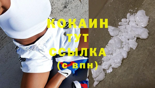 МДПВ Бородино