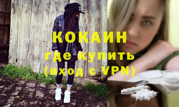крисы Богородицк