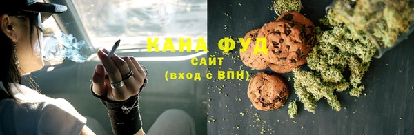 крисы Богородицк