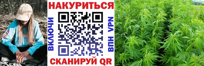 как найти наркотики  Камызяк  Шишки марихуана гибрид 